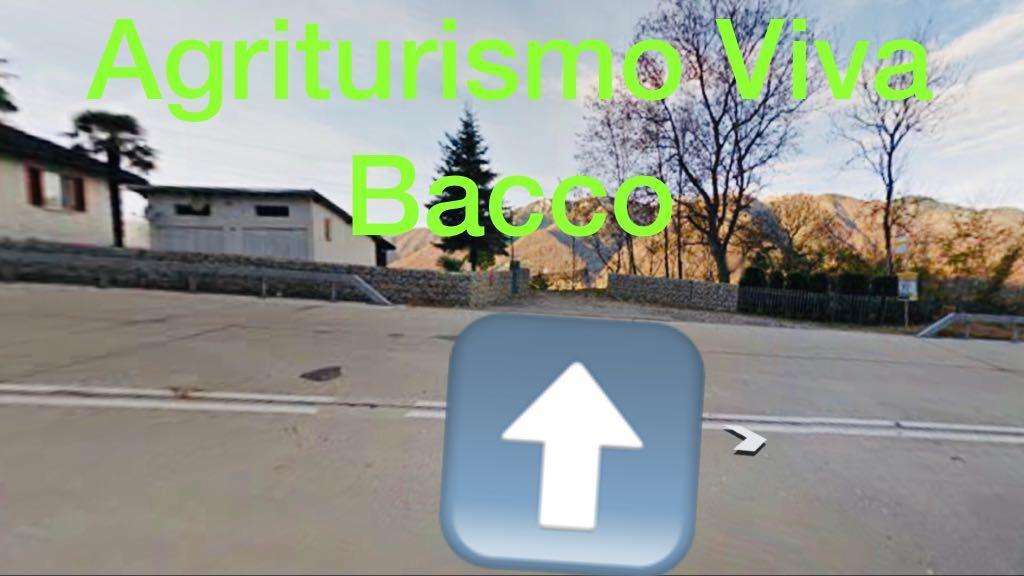 לינה וארוחת בוקר Gambarogno Viva Bacco מראה חיצוני תמונה
